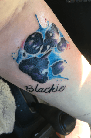 My dogs paw print done by Skin Candy New Zealand 