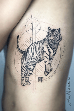 Tiger on geometry by Ana Maturana