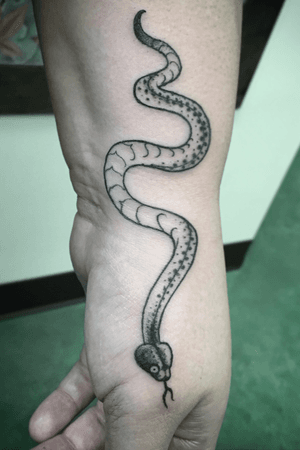 Freehand Snake