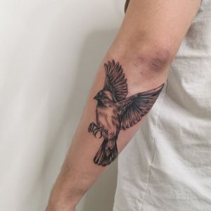 Little Birdie #birdtattoo #tattoo #tattoos #inked #tattoodo #inkedup 