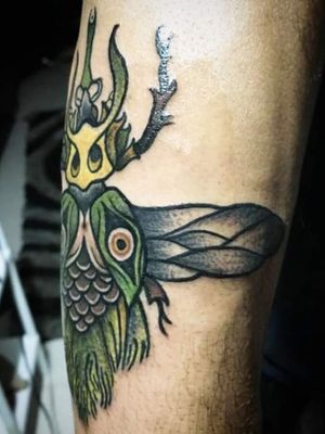 Miren el lindo insecto en tradicional que hice, para alguien que ama los bichos...#insect #fly #insecttattoo #traditionalinsect #traditional #traditionaltattoo #ink #inklove #inklife #inkartist #inklovers #tattoowork #art #artist #tattooart #tattooartist #tattoo #love #tattoolovers #lifestyle #tattoolove #tattoolife #colombiantattooer #colombiatattoo #tattoocolombia #instacool #picoftheday