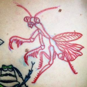 Tattoo en estilo tradicional hecho a free hand ✍🏽 Gracias por confiar siempre en mí y mi trabajo💫💓 . . . #mantis #mantistattoo #freehand #freehandtattoo #insect #insectattoo #traditional #traditionaltattoo #ink #inklove #inklife #inkartist #inklovers #tattoowork #art #artist #tattooart #tattooartist #tattoo #love #tattoolovers #lifestyle #tattoolove #tattoolife #colombiantattooer #colombiatattoo #tattoocolombia