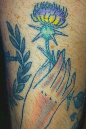 Hand holding a star thistle. #Hand #thistle #thistles #thistletattoo #Starthistle #traditional 