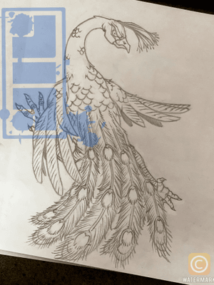 Got this project available for render, running peacock w/evil eye...Ideally a wrap around placement eg. head on side thigh with tail wrapping to front or back of thigh depending on which side. Message me on Google or WhatsApp at +1(604)600-8421 if interested in this artwork. Can be altered to any size, coloured or black & grey if required. Chat soon😇#tattooshopping #tattoos #bodyartwork #tattooshop #tattoostudio #surreybc #surreytattooartist #surreytattoo #vancouverink #langleytattoo #asiantattoo #irezumi #animated #byjncustoms