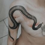 #snaketattoo #snake #cobra #blackandgreytattoo 