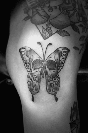 Black and grey skull butterfly.