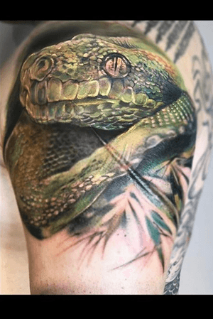 #snaketattoo#snake #animaltattoo#realistic#watercolor.   /////////////////////////////////////Flash for tattoo , Dm me for booking . Work ins @_mnink_#tattoo#tattooist#watercolor# #tattoo#tattooist#watercolor#ink #inked#torontolife #toronto #art#watercolorpainting #watercolortattoo #inkedgirls #inkedgirl #blacktattoo #blackart#torontotattoo#skin #sumi #butterflytattoo #butterfly #color #colour #abstract #abstractart #abstracttattoo #torontoart #geometry#geometric#geometricdesign#design #instattoo# design#abstract#sumitattoo#sumi