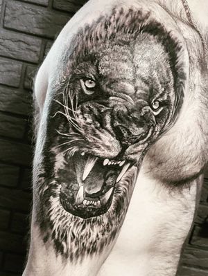 New "Lion - the King" cover-up tattoo for boxer Levani-Thx for the trust, bro. Hit them all!◼#тату #лев #trigram #tattoo #lion #inkedsense 