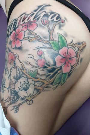 Cherry Blossoms session 2