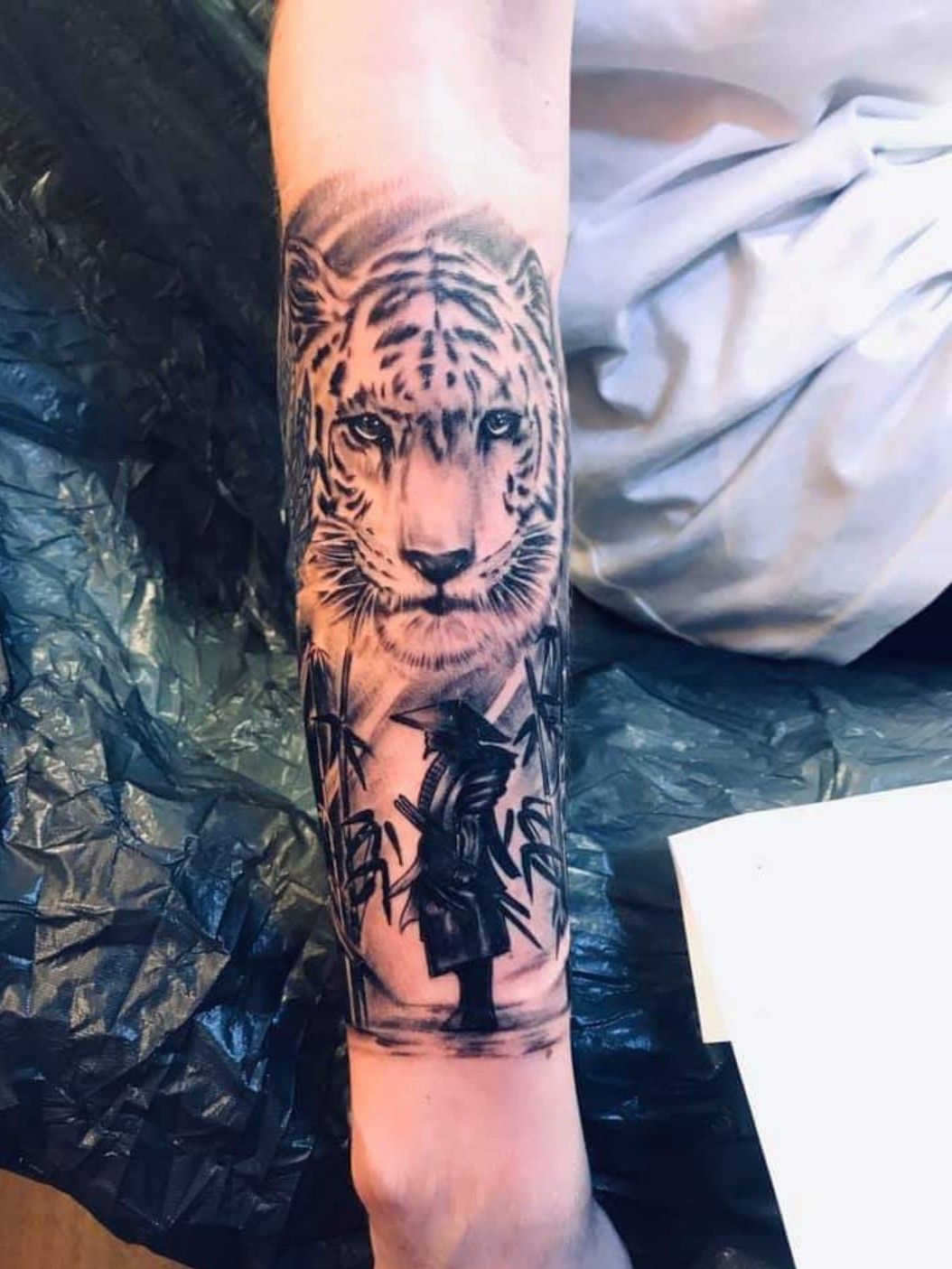 Tiger samurai design  Tatuagem de tigre japonês Melhores tatuagens Loja  de tatuagem