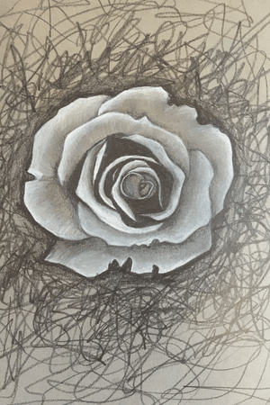 My own drawing of a rose. Not comfortable enough to start tattooing realism lol but maybe someday! 