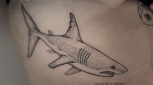 Tubarão em pontilhismo na barriga! #sharktattoo #animaltattoo #bellytattoo 