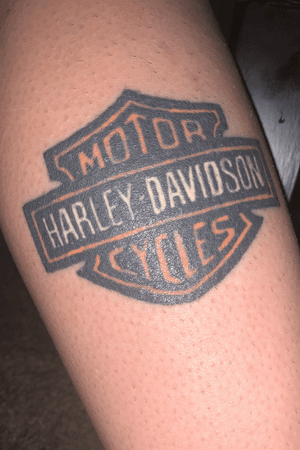 Harley logo for my dad. Tattoo done by Michelle. 