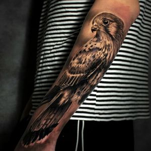 A falcon made with my favorite ink skin's color. 9h of work, a great day.#tatouage #tatouagemagazine #tattoo #tattoofrance #ink #inked #skin #skinart #art #artist #draw #drawing #realisme #tatouagerealiste #realism #picture #photography #pic #photooftheday #auvetementincarne #jeremybertin #bertintattoo 