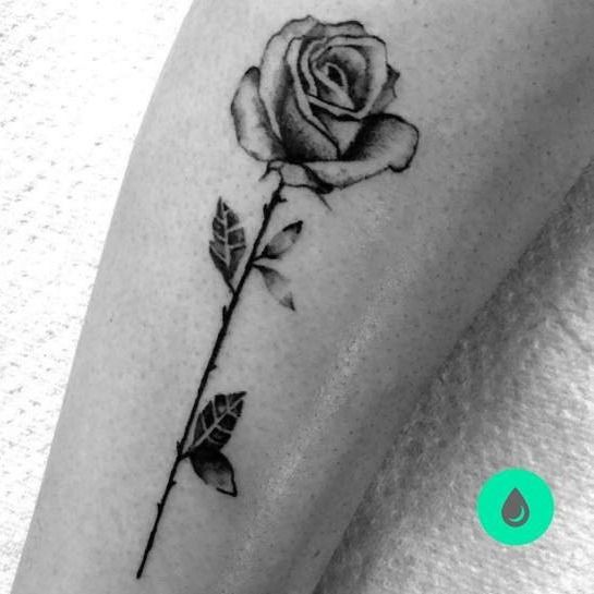 Tattoo uploaded by Dini • Rosa e fogo • Tattoodo