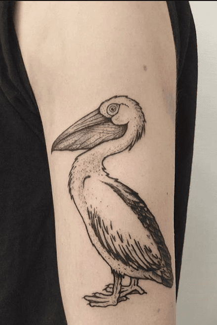 50 Pelican Tattoos For Men  Water Bird Design Ideas
