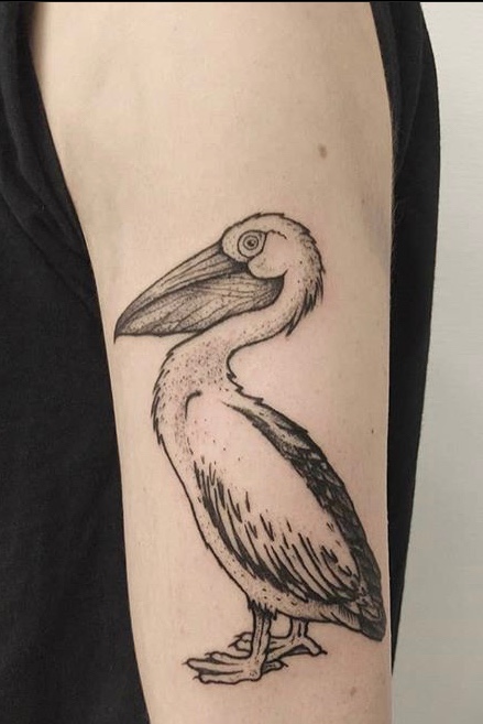 50 Pelican Tattoos For Men  Water Bird Design Ideas