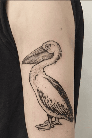 Pelican done by @Tere_tattoing