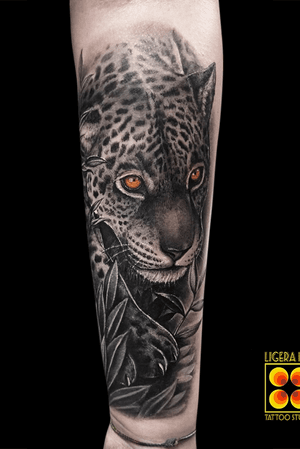 Realistic jaguar tattoo