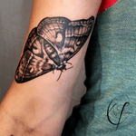 Columbia moth tattoo by Andreanna Iakovidis. #mothtattoo #blackandgreymoth #naturetattoo #realisticmoth #realisticbutterfly 