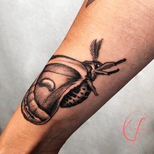 Robin moth tattoo by Andreanna Iakovidis. #mothtattoo #butterflytattoo #blackandgreymoth #realisticmoth #naturetattoo