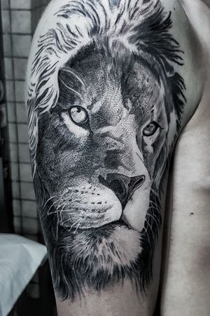 Lion black and grey work in progress 