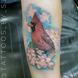 #tattooartist #aztattoo #aztattooartist #phoenix #blackandgreytattoo #egyptiantattoo #cardinaltattoo #realismtattoo #animalrealism #animaltattoo 