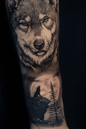 Wolf and howling wolf😍 black and grey 