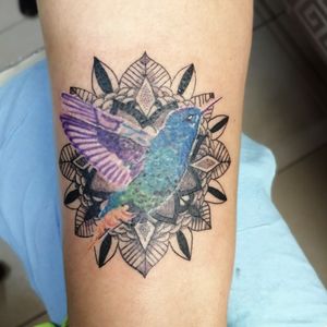 Mándala con colibrí 🗡️🗡️ Citas y cotizaciones📲 2225480847inbox página Facebook https://www.facebook.com/blueinktattoooficial/n .........#blueinktattoo #tatuadorespoblanos #tatuadoresmexicanos #tatuajes #tattoo #ink #inktattoo pigmentos por @dynamiccolor , hecho con productos @aplof.tattoo y cartuchos @zitacartuchos #zitacartuchos #zita@cheyenne_tattooequipment #yo3rl #blackwork #blackworktattoo  #mandala #colibri blue ink tattooRafael González 🇲🇽