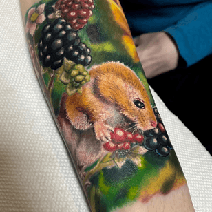 Mouse eating blackberries 