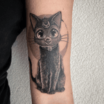 #tattoo #tatouage #cat #cattattoo #luna #lunatattoo #sailormoon #blackcat #blackcattattoo #realisticink #cute #cutetattoo #cutecat #dot #dotwork #dotworktattoo #dotworkers #lausanne #lausannetattoo #tattoolausanne #fann_ink
