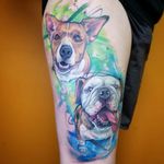 The 2 previous portraits combined. ....#dog #dogtattoos #dogtattoo #puppyportrait #dogportrait #watercolor #watercolortattoo #watercolorattoos #watercolourtattoo #watercolour #watercolourtattoos #thightattoo #thightattoos 