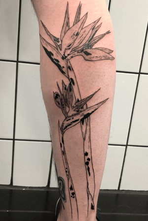 Tattoo by Carvilles - Tattoo Studio
