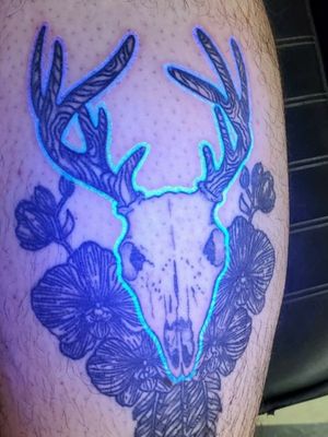 Deer Skull highlighted in Blue IV with Orchids