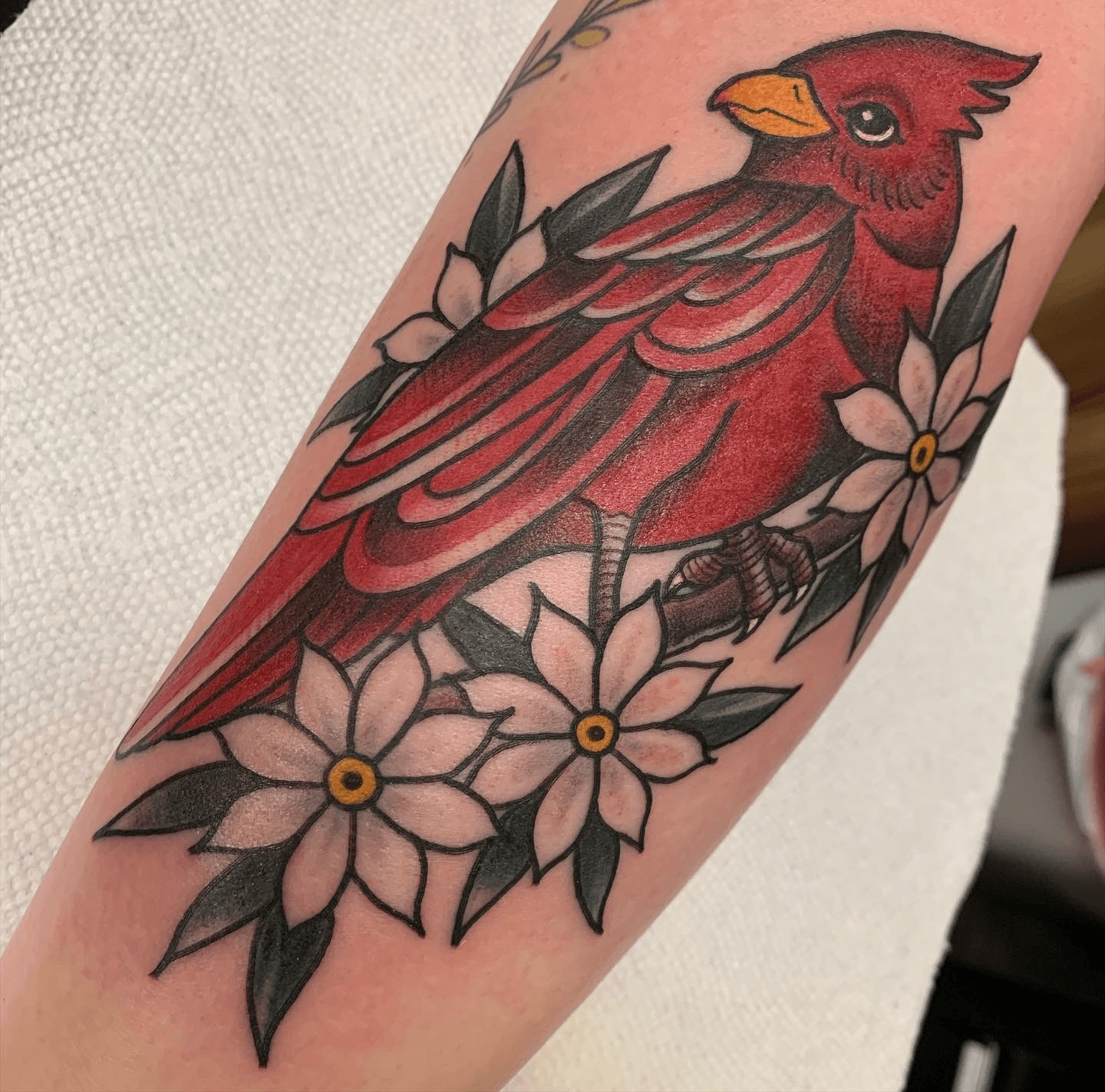 Traditional Cardinal Done By Jake Thorsell  Fus Custom Tatoos CLT   rtraditionaltattoos