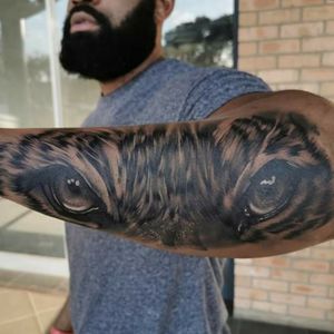 Some cool tiger eyes I got to do quite a while ago#blackngrey #blackngreytattoo #bngsociety #bnginksociety #bng #blackandgreytattoo #blackandgrey #realism #realismtattoo #tigertattoo #tiger  
