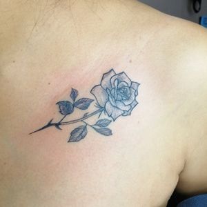 Rosa 🗡️🗡️Citas y cotizaciones📲 2225480847inbox página Facebook https://www.facebook.com/blueinktattoooficial/n .........#blueinktattoo #tatuadorespoblanos #tatuadoresmexicanos #tatuajes #tattoo #ink #inktattoo pigmentos por @dynamiccolor , hecho con productos @aplof.tattoo y cartuchos @zitacartuchos #zitacartuchos #zita@cheyenne_tattooequipment #yo3rl #blackwork #blackworktattoo #rosatattoo#rosas #rosa #rosetattoo #rose#roseblackwork #inkgirlblue ink tattooRafael González 🇲🇽