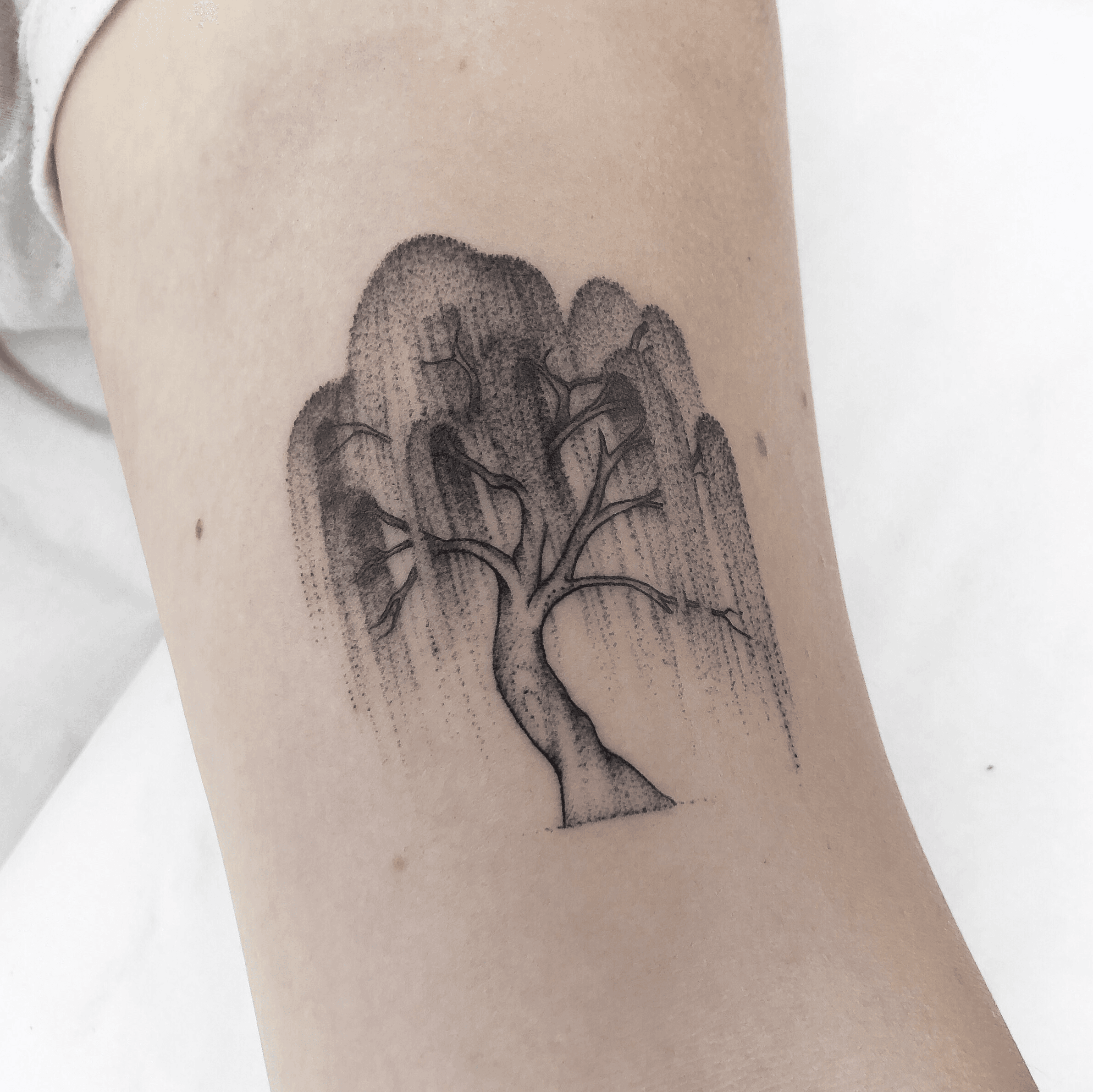 5 Tree Tattoos And Their Meanings  Self Tattoo
