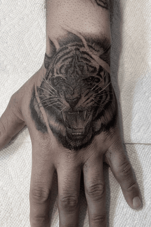 Tiger Illustrative tattoo by Jesus Antonio #JesusAntonio #illustrative #fineline #chicano #blackandgrey #tiger #cat #hand #animal #nature