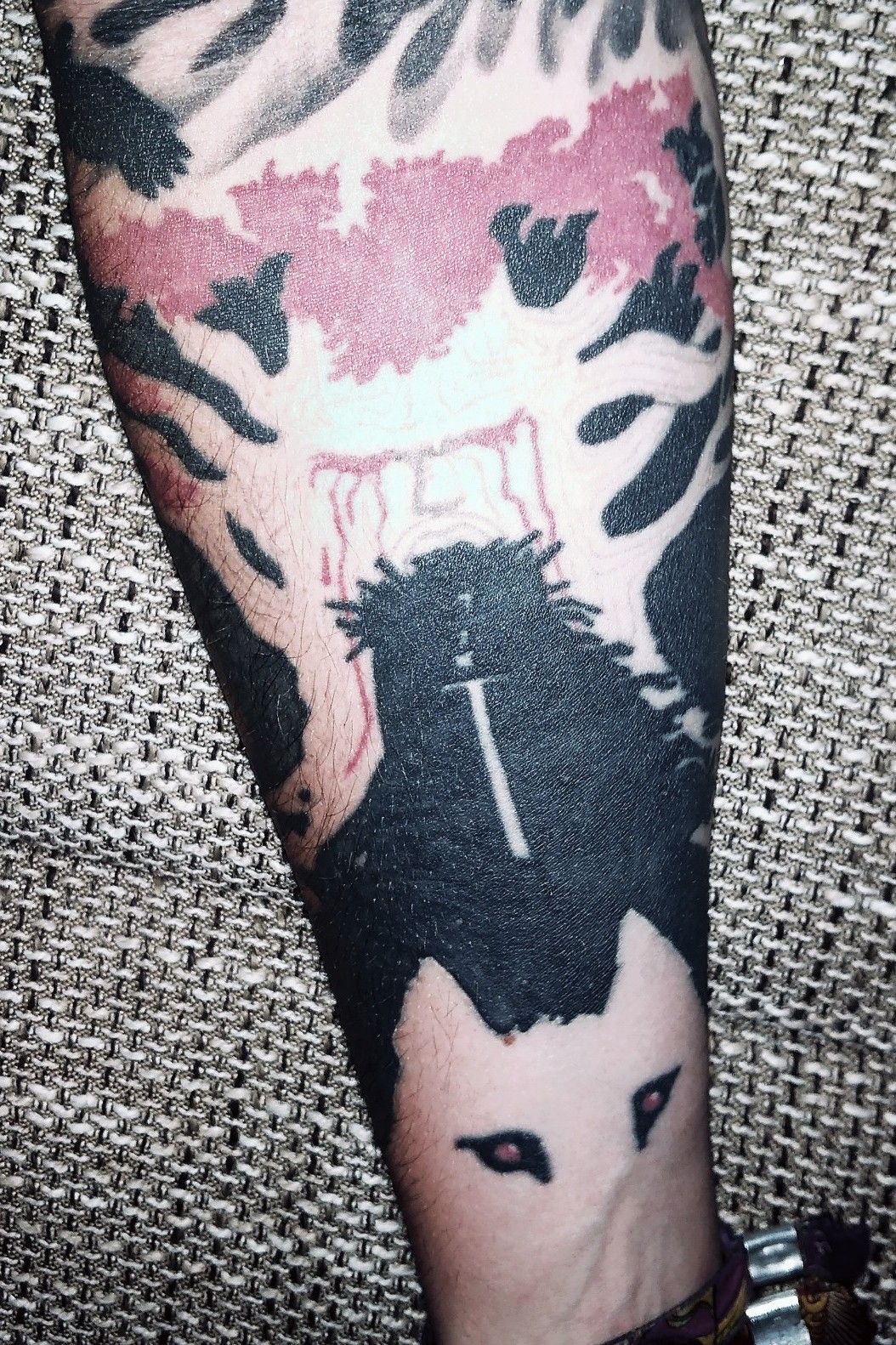 NO SPOILERS My Weirwood TreeThree Eyed Crow half sleeve done by Scott  Schene at Red Locust Tattoo in Stanford KY  rgameofthrones