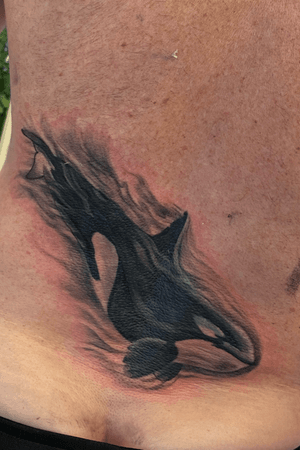 Lower back cover up I did, tribal lower back piece, now made into a orca 