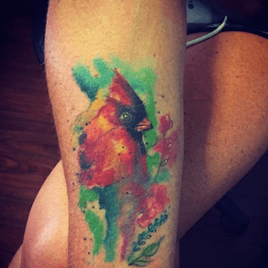 healed watercolor cardinal bird tattoo 