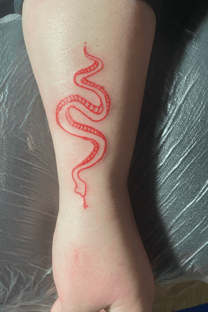 Nice red snake on a great client 🙏 line work.