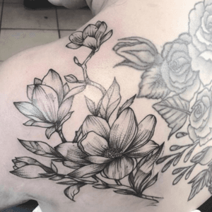 sketch black and grey fine linework magnolia 