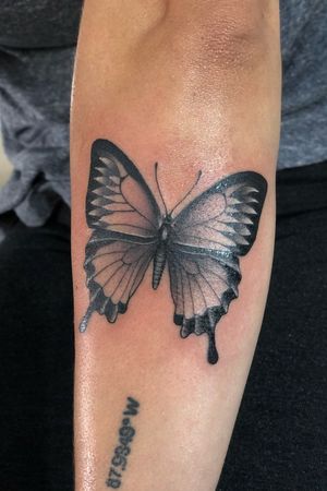 #butterfly #blackandgray