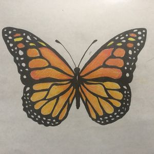 Basic Monarch Butterfly Design.                                By: Me                                                                             Materials used: Sketch Pencils, Black Ink Pen & Pencil Crayons. 