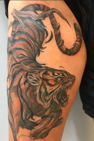 Tiger coverup