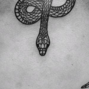 The video of line-work Snake with small details Tattoo for Kjell.Thank so much for sitting like a rock, #respect.  I'll see you again on the next project. .Send me a DM for appointment or consultation. ..... #smalltattoo #hendjerin #finelinetattoo #minimalisttattoo #tattoo #kayontattooatelier #minimalistictattoo #snake #minimaltattoo #snaketattoo #tattoodo  #vegantattooink #lineworktattoo  #animaltattoo #linetattoo #boldlinetattoo