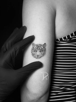 fine line tiger tattoo used single needle by Montreal tattoo artist Dylan C #Micro Realism
