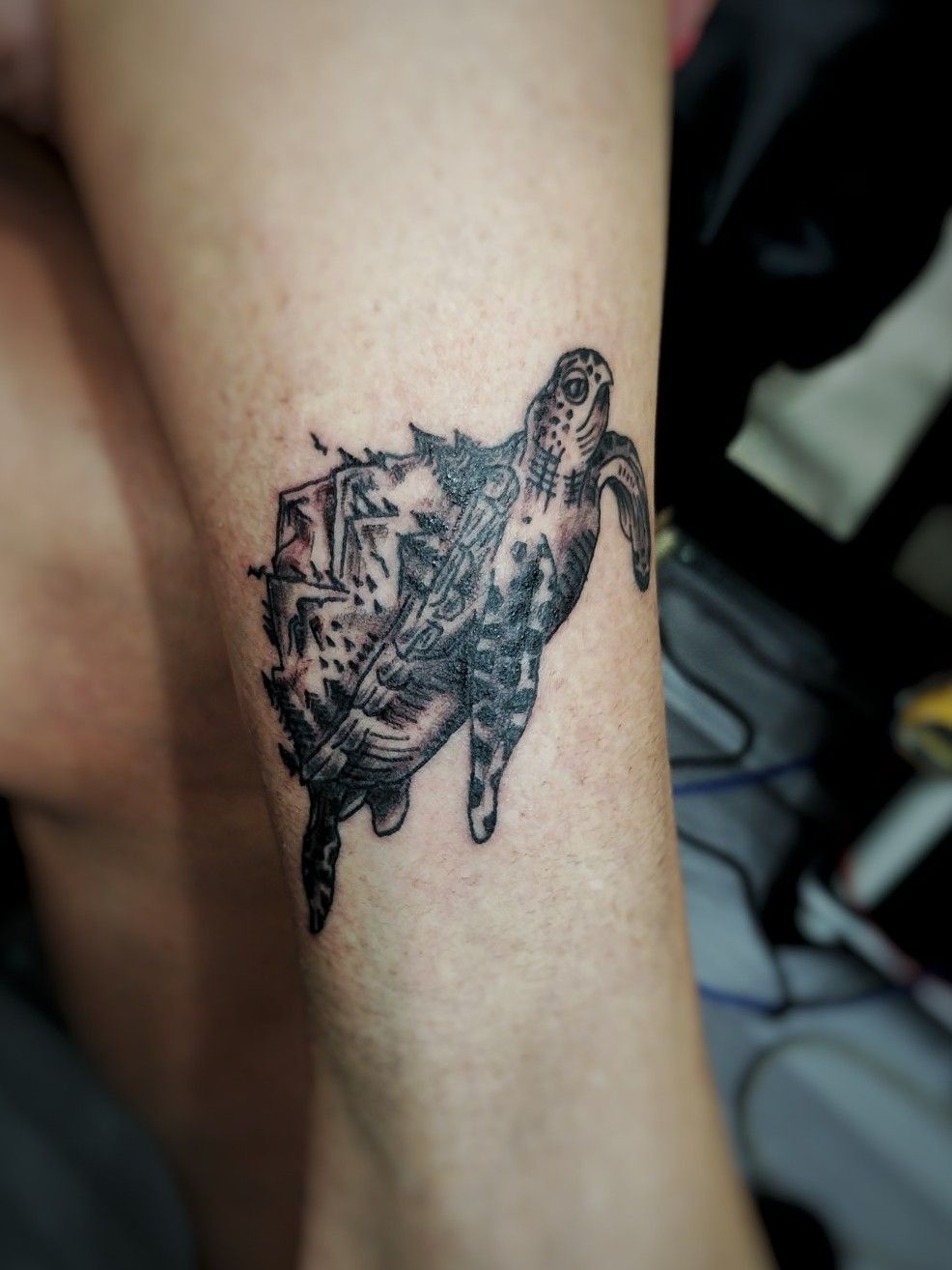 Owl and Skull, animal, bird, forest, tattoo, tribal, HD phone wallpaper |  Peakpx